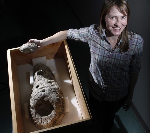 Osteoderma dei dinosauri