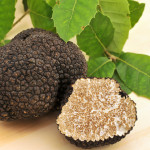 Tartufo