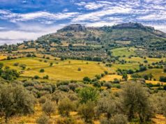 Macchia mediterranea