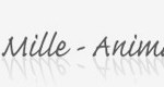 cropped-cropped-header-1_2-4.jpg