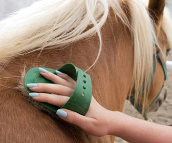 Cura del manto del cavallo