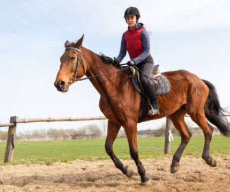 Equitazione: come iniziare