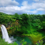foresta-pluviale.jpg