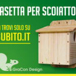 pinesquirrel-336-280