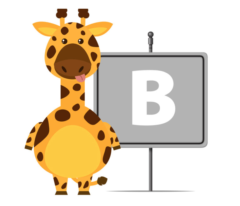 Animali con la B Mille Animali Animali con la B Mille Animali