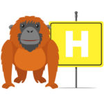 Animali con la H