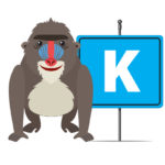 The Alphabet with different animals