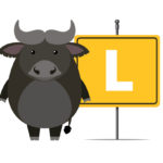 Animali con la L