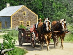 Il cavallo come mezzo di trasporto Carrozza con cavalli