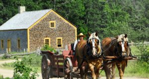 Il cavallo come mezzo di trasporto Carrozza con cavalli