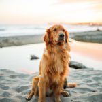 justin-aikin-KFJuCzJiQYU-unsplash