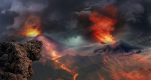 Gli animali possono prevedere i disastri naturali?