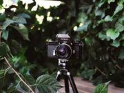 Camera traps: “trappole pacifiche” Camera traps