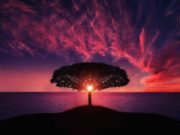 Una pandemia che regala una rivincita alla natura Pandemia e natura