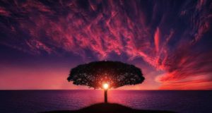 Una pandemia che regala una rivincita alla natura Pandemia e natura