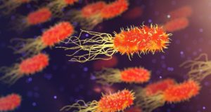 Un batterio capace di sconfiggere la plastica Batterio