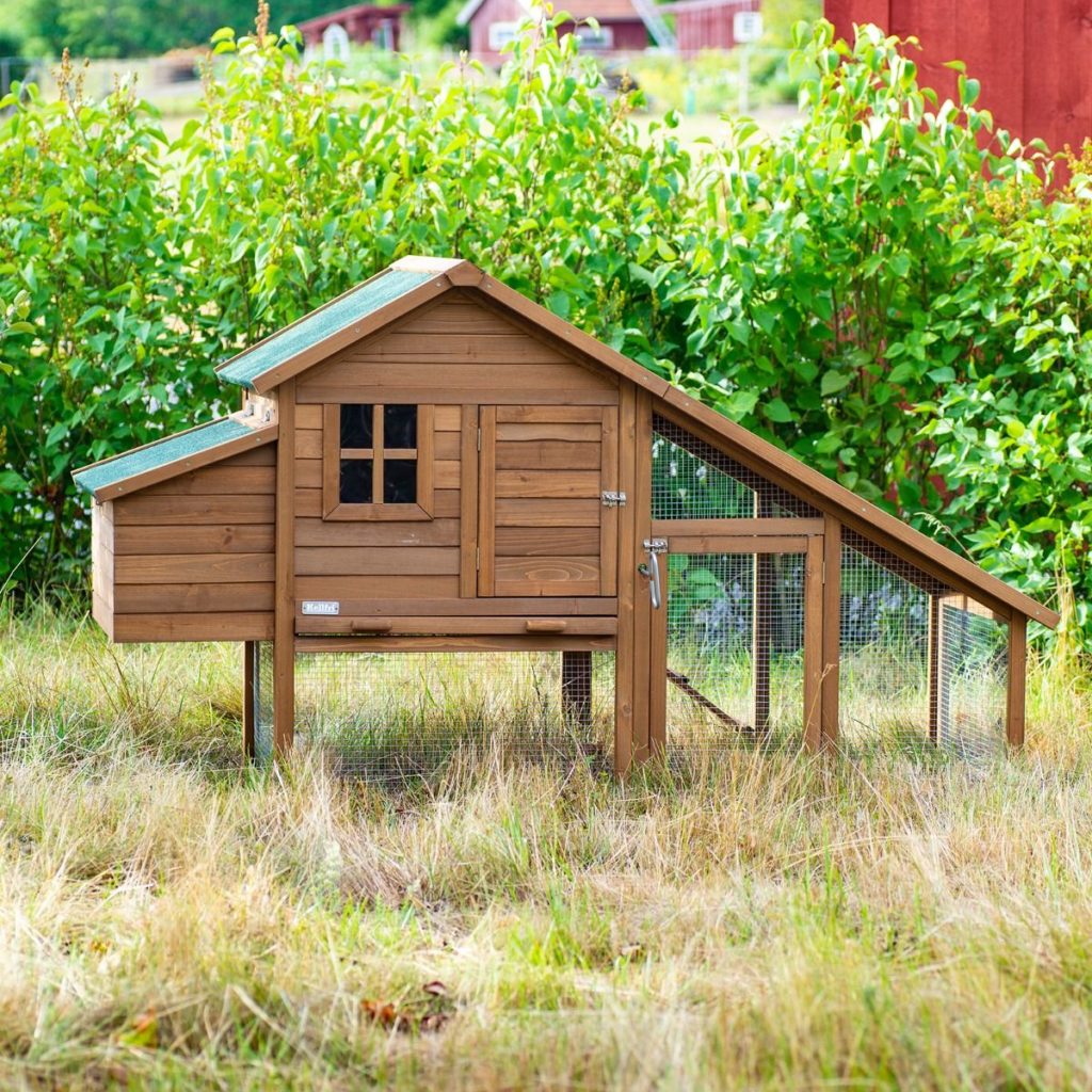 Costruire un pollaio per le galline