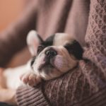 adorable-1850276_960_720