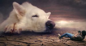 I cani più grandi del mondo Cane