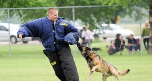 Come scegliere una tuta per addestramento cani