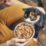 Alimentazione gatto 13