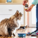 Alimentazione gatto 8