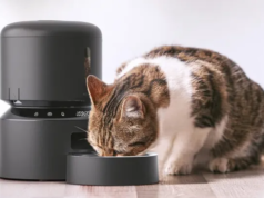 Come scegliere una mangiatoia automatica per gatti?