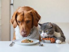 Introduzione alle intolleranze alimentari nei nostri amici a quattro zampe