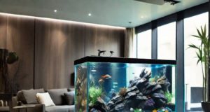 Come posso aggiungere nuovi pesci al mio acquario esistente?