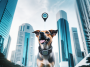 Collari GPS e Cani in Ambiente Urbano