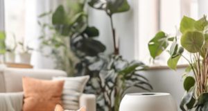 Purificatori d’Aria per Chi Ha Animali: Una Guida Completa all’Acquisto