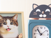 Risparmio di Tempo con i Distributori Automatici per Gatti