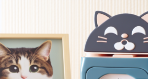 Risparmio di Tempo con i Distributori Automatici per Gatti