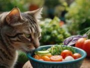 La Guida Definitiva alla Nutrizione Felina: Dalla Scelta del Cibo alla Cura per Ogni Fase di Vita