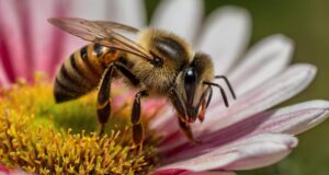 Creare un Giardino Amico delle Api: Benefici, Habitat e Tecnologie Innovative