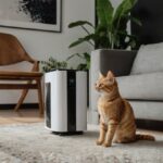 purificatore_aria_18