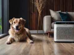 Respiri Sereni e Code Scodinzolanti: L’Impatto dei Purificatori d’Aria nelle Case con Animali Domestici
