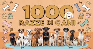 1000 razze di cani 1000 razze di cani