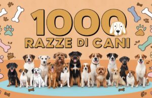 1000 razze di cani 1000 razze di cani