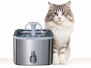 Fontanelle per Gatti: Design, Salute e Innovazione per il Benessere Felino