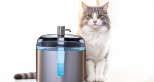 Fontanelle Magiche per Gatti: Idratazione, Gioco e Benessere in un Solo Accessorio