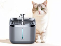 Fontanelle per Gatti: Importanza dell’Idratazione e Come Scegliere tra Elettriche e a Gravità