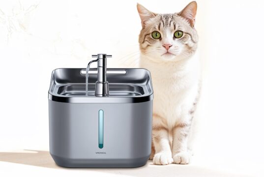 Fontanelle per Gatti: Importanza dell’Idratazione e Come Scegliere tra Elettriche e a Gravità