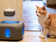 L’Universo delle Fontanelle d’Acqua per Gatti: Dalla Salute Alle Innovazioni Tech